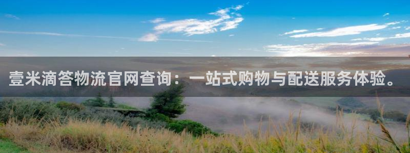 麻将1超凡国际：壹米滴答物流官网查询