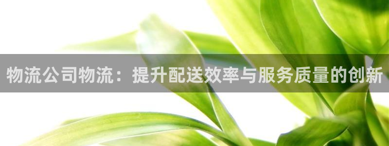 超凡国际官网下载链接是什么：物流公司