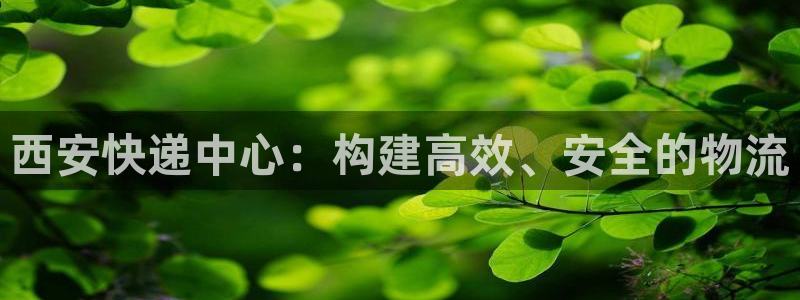 超凡国际游戏链接：西安快递中心：构建