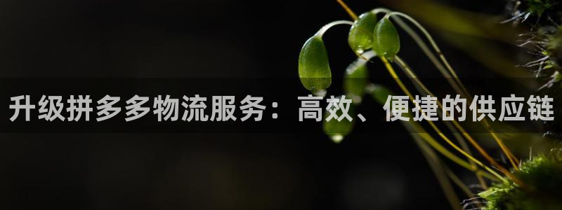 超凡国际流水怎么算：升级拼多多物流服