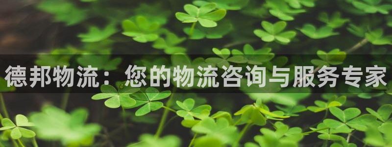 超凡国际登录用户名登录不上：德邦物流