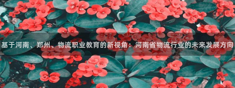超凡国际aPP退款：基于河南、郑州、