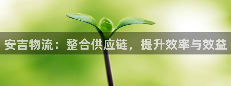 超凡国际娱乐官网网页入口：安吉物流：
