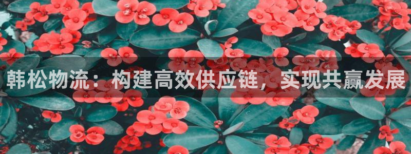 超凡国际软件有什么用：韩松物流：构建