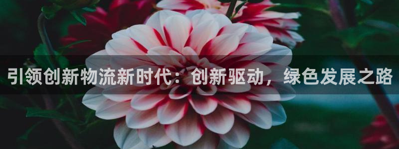 超凡国际注册步骤：引领创新物流新时代