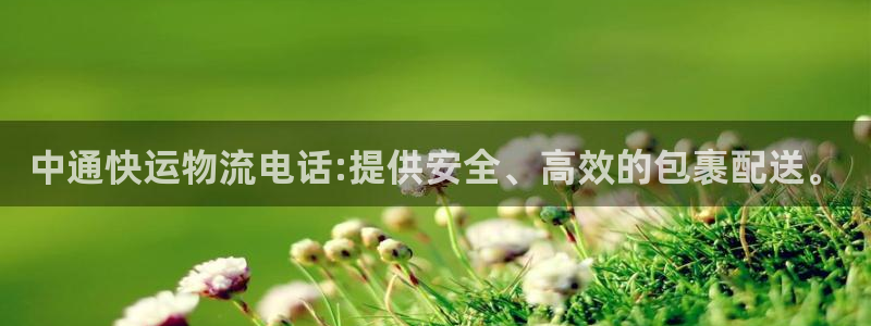超凡国际链接：中通快运物流电话:提供