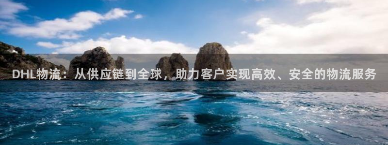 超凡国际反水：DHL物流：从供应链到
