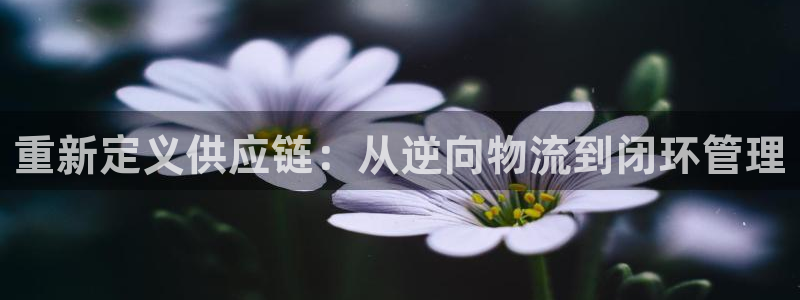 超凡国际加拿大是什么：重新定义供应链