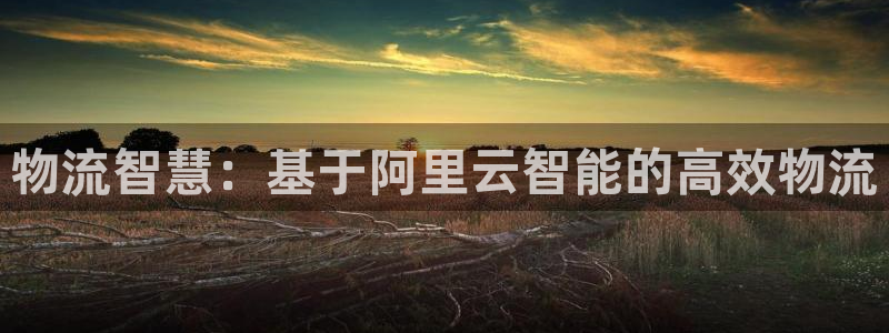 超凡国际app能退款吗：物流智慧：基