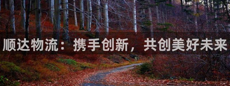 超凡国际登录用户名登录不上:顺达物流