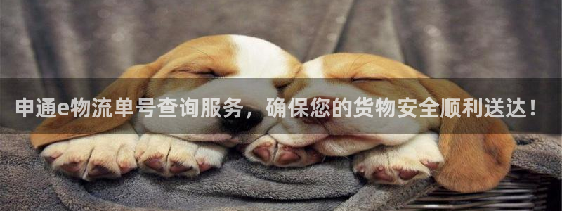 超凡国际登录不上咋回事:申通e物流单