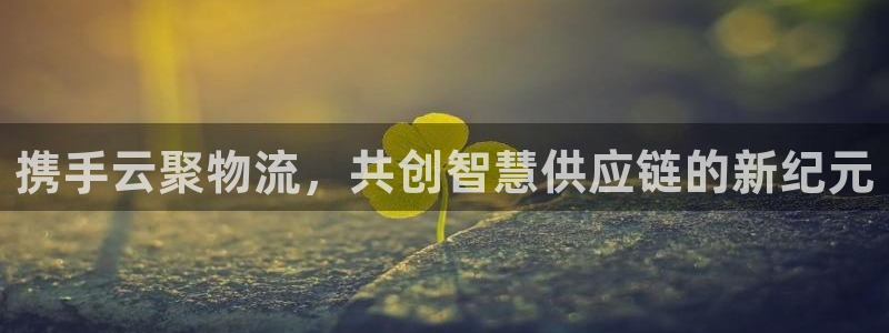 超凡国际官网下载链接是什么网站：携手