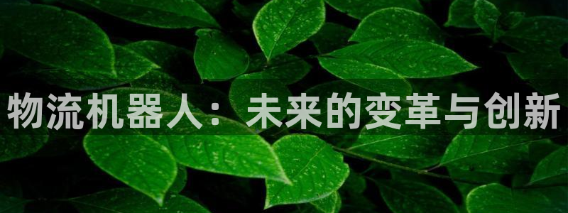 超凡国际注册链接：物流机器人：未来的