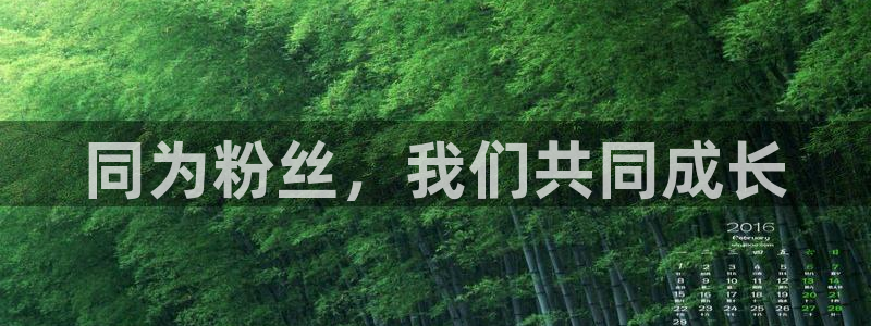 山猫足球直播免费观看：同为粉丝，我们共同成长
