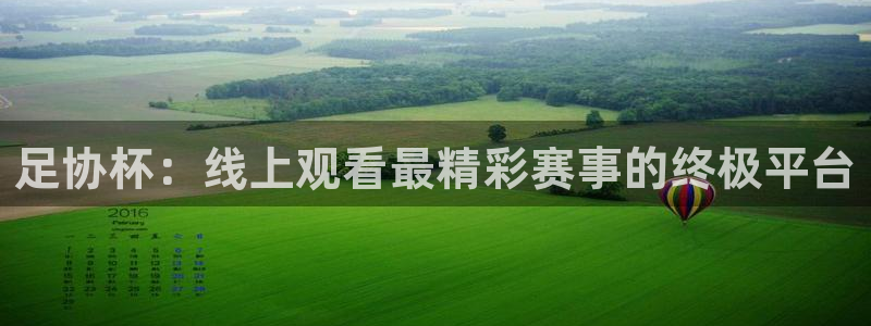 山猫直播体育平台直播：足协杯：线上观看最精彩赛事的终极平台