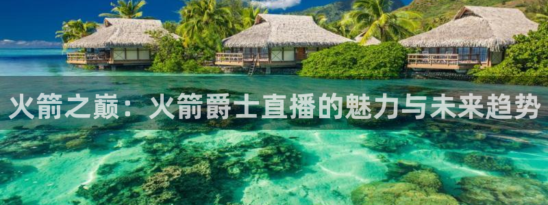 山猫篮球直播平台：火箭之巅：火箭爵士直播的魅力与未来趋势