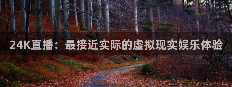 山猫直播体育app：24K直播：最接近实际的虚拟现实娱乐体验