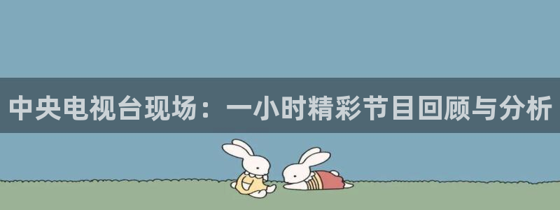 山猫足球免费直播高清：中央电视台现场：一小时精彩节目回顾与分析