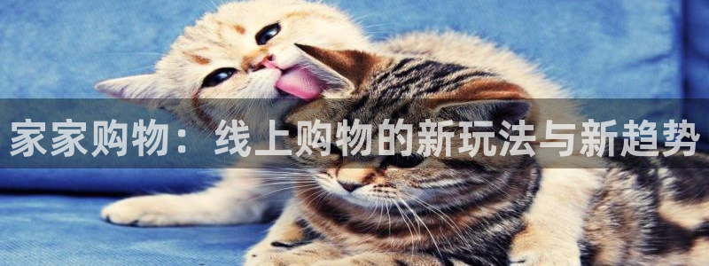 山猫免费nba直播视频直播：家家购物：线上购物的新玩法与新趋势