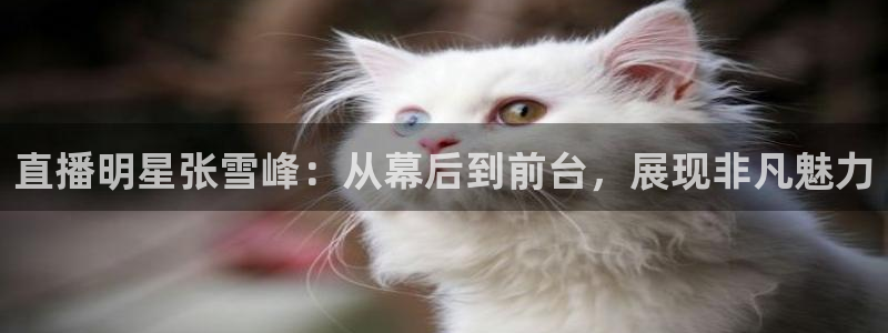山猫足球直播高清直播在线观看：直播明星张雪峰：从幕后到前台，展现非凡魅力